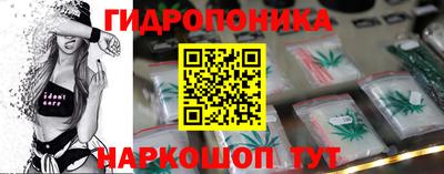 ешки Волгодонск