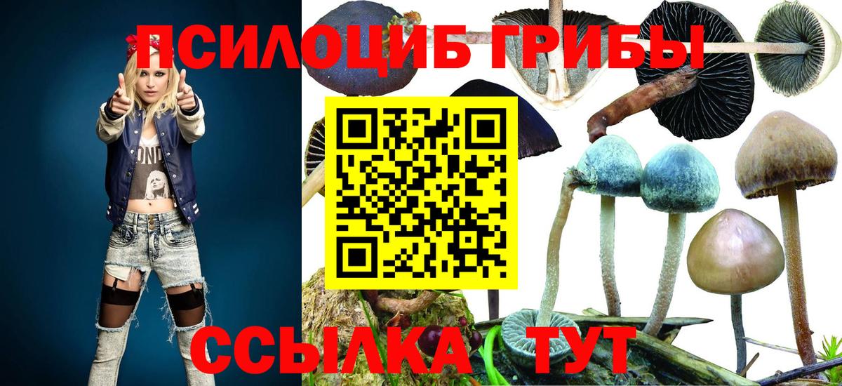 Псилоцибиновые грибы мухоморы  Псилоцибиновые грибы Cubensis  Вход с VPN  Рубцовск 