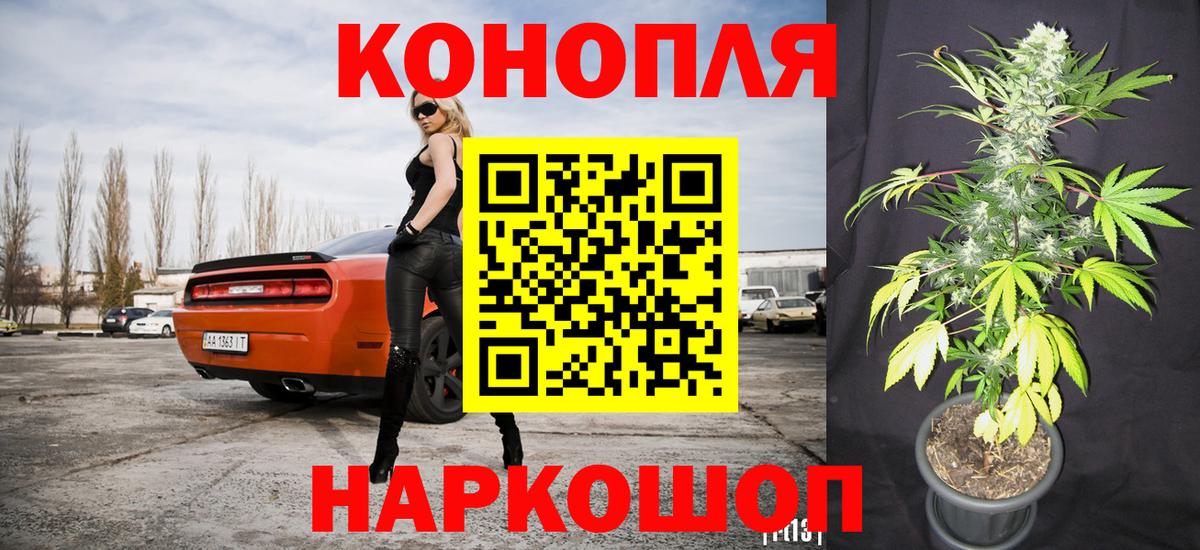 Бошки марихуана план Рубцовск